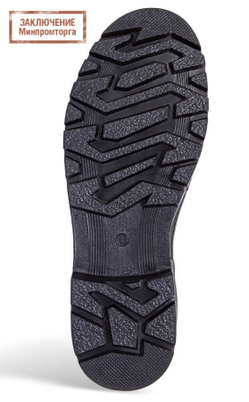 Сапоги Лесник ТЭП Барс (арт.ТЭП 9-11)